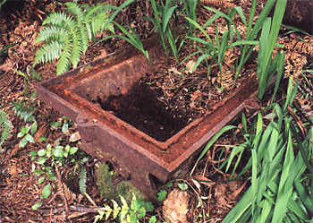 Cast iron tub, near Mill Stream, 2003