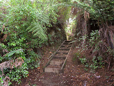Looking north, the boxed steps of the walkway pass through the middle tailings pond bund. 2008
