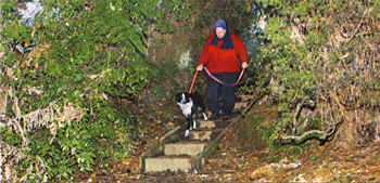 Waihi Walkways chairman Beryl George, who uses the Mill Stream Walkway "daily" with her dog Flip, walks through ‘The Cutting’ - originally formed to divert the stream away from the mine tailings pond behind it.