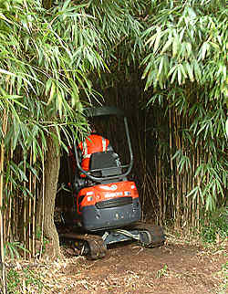 1.2 ton digger track making through the bamboo grove - a special feature of this walk.