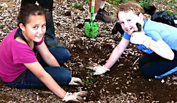 Girl guides learn how to plant and care for new seedlings